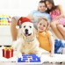 Blanlody Interactive Dog Puzzle Toys for Boredom, Dog Puzzle Feeders for Small, Medium, Large puppy, Treat Dispenser Toys for Gifts, Brain Stimulation for Iq, Slow Feeder