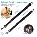 Dog Seat Belt for Car,3 Pack Dog Car Harness,Thicker Nylon Retractable Dog Car Seat Belts, Anti-Tangle and Adjustable Dog Seat Belt for Travel, Pet Seat Belt,Fits Small,Medium Dogs & Cars